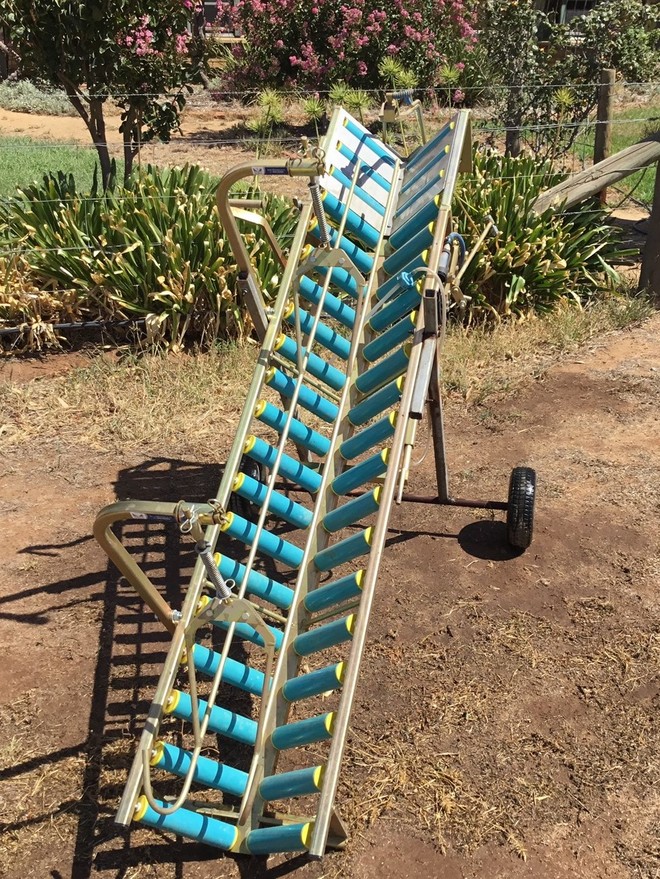 Lamb marking chute Vetmarker Livestock Equipment Livestock